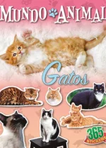Gatos. Mundo animal