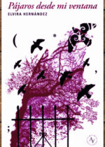 Pájaros desde mi ventana