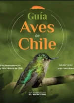 Guía Aves de Chile 2