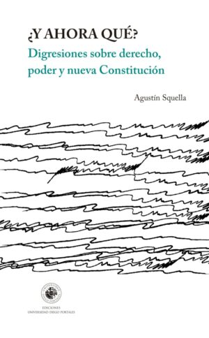 ¿Y ahora qué? Digresiones sobre derecho, poder y nueva Constitución