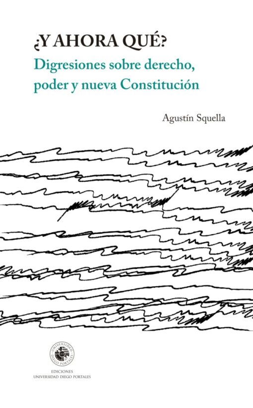 ¿Y ahora qué? Digresiones sobre derecho, poder y nueva Constitución