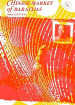 Chinese Market of Baratijas