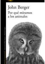 Por qué miramos a los animales