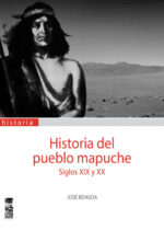 Historia del pueblo mapuche. Siglos XIX y XX