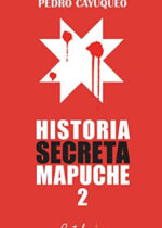 Historia secreta mapuche 2