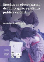 Brechas en el ecosistema del libro: gasto y política pública en Chile