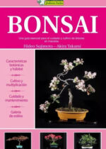 Bonsái