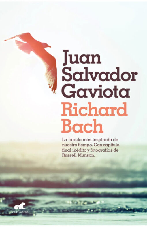 Juan Salvador Gaviota