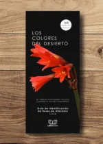 Los colores del desierto. Guía de flores