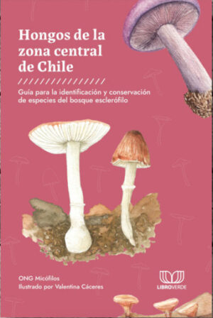 Hongos de la zona central de Chile