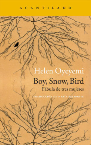 Boy, Snow, Bird. Fábula de tres mujeres