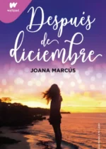 Después de diciembre