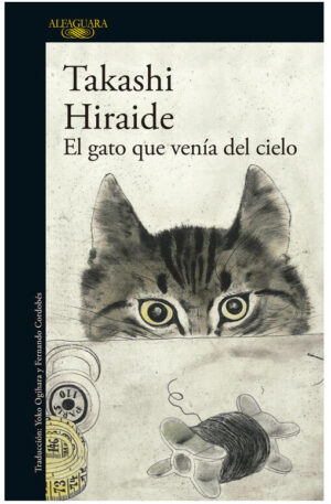 El gato que venía del cielo