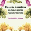 Dioses de la medicina en la Araucaria