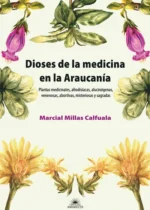 Dioses de la medicina en la Araucaria