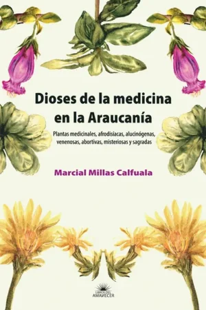 Dioses de la medicina en la Araucaria