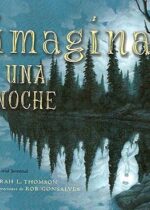 Imagina una noche