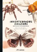 Invertebrados chilenos. Más allá de las apariencias