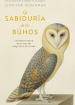 La sabiduría de los búhos