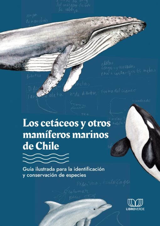 Los cetáceos y otros mamíferos marinos de Chile