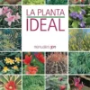 La planta ideal