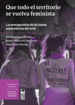 Que todo el territorio se vuelva feminista. Las protagonistas de las tomas universitarias del 2018