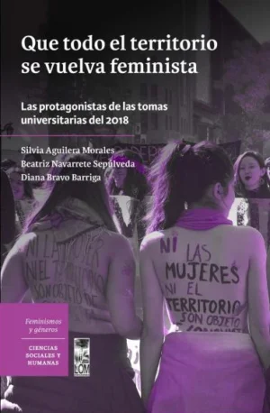 Que todo el territorio se vuelva feminista. Las protagonistas de las tomas universitarias del 2018