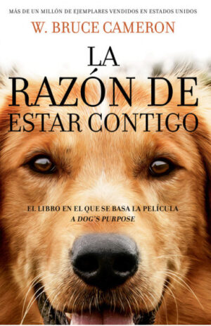 La razón de estar contigo