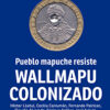 Wallmapu colonizado