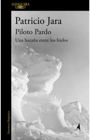 Piloto Pardo