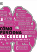Cómo funciona el cerebro