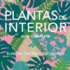 Plantas de interior: plantas, cactus y suculentas. Guía completa
