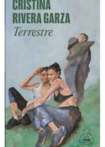 Terrestre