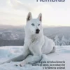Hembras 2 xthumb 28636 portadas big.jpeg.pagespeed.ic .cauuLkNgCP