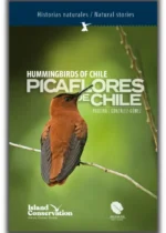 Picaflores de Chile