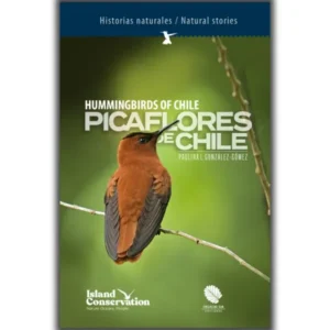 Picaflores de Chile