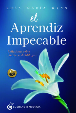El aprendiz impecable