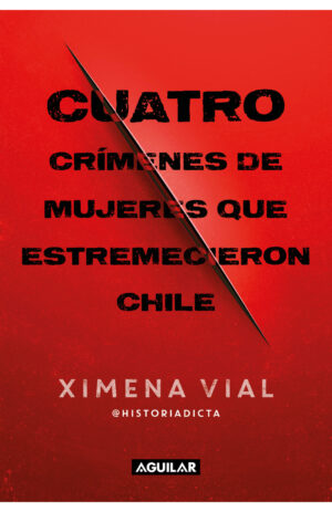 Cuatro crímenes de mujeres que estremecieron Chile