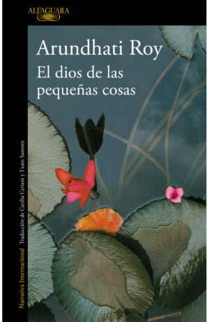 El dios de las pequeñas cosas