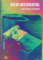 Vicio accidental