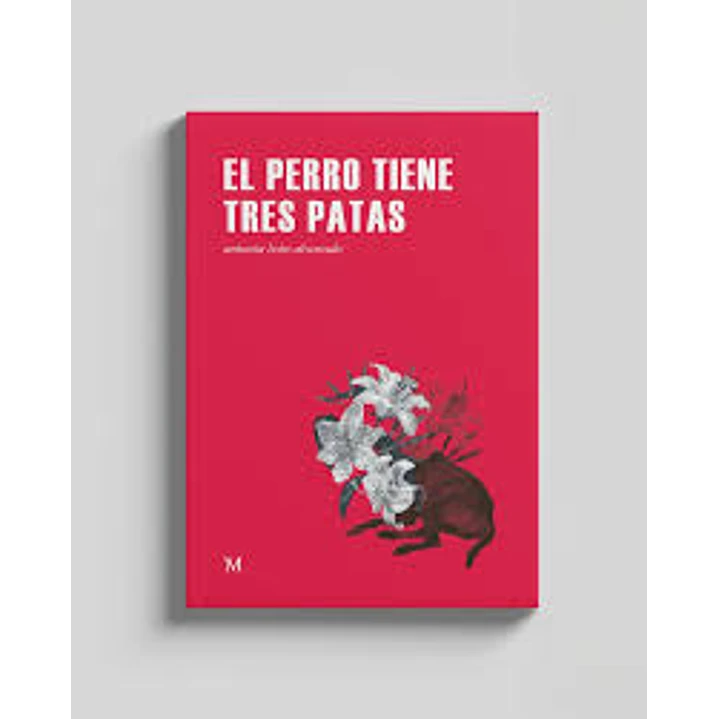 El Perro Tiene Tres Patas 1 El perro tiene tres patas